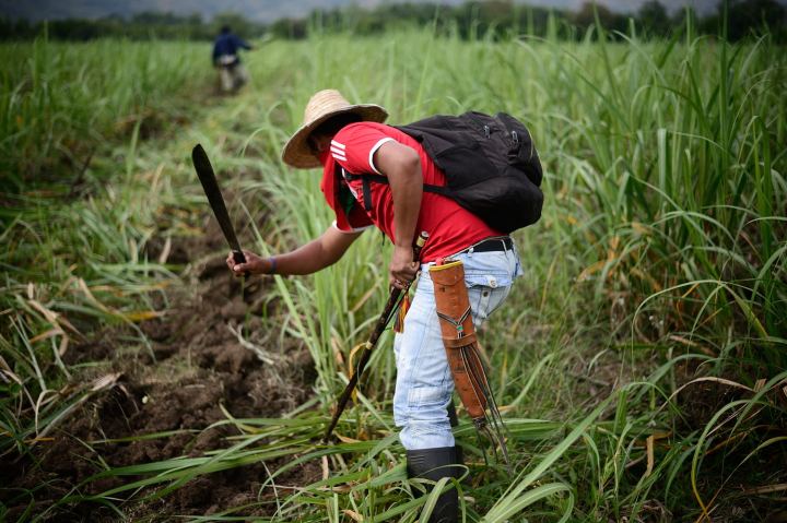 liberadores madre tierra tejio comunicacion 1