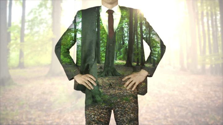 bosques neoliberales