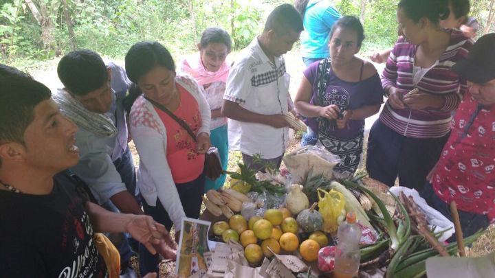 intercambio de semillas 1