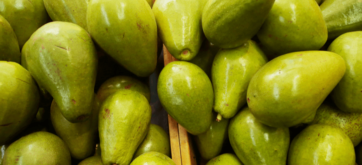 nueva-planta-aguacate-armero