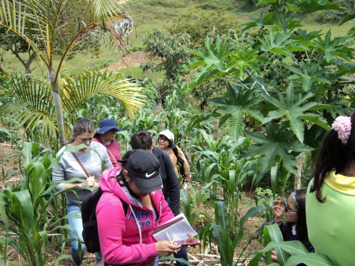 Agro 1 asociatividadmujeres