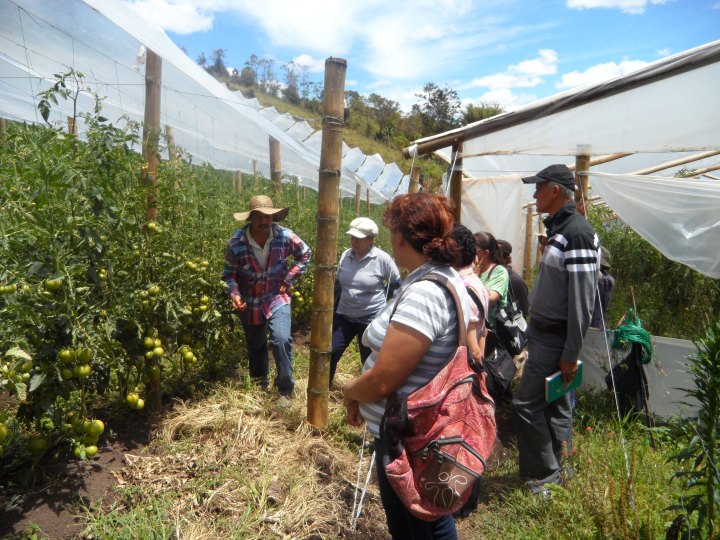 Agro 7 Finca don Alberto (2)