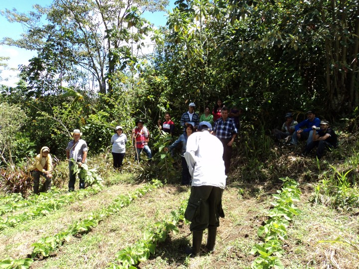 Agro 9 Finca don Martín-El Peñol