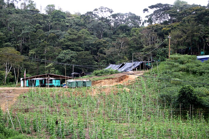 Nuestra arma es la palabra 10Sembrados y cambuches