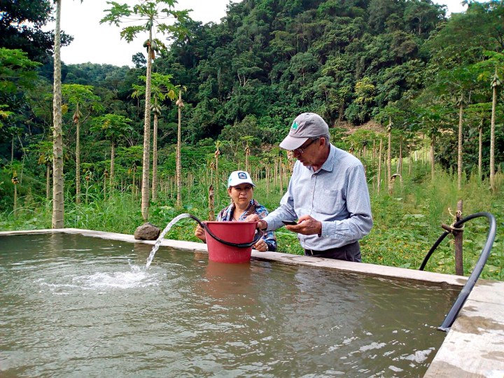 Tierra promisoria 4 Verificación de calidad y caudal