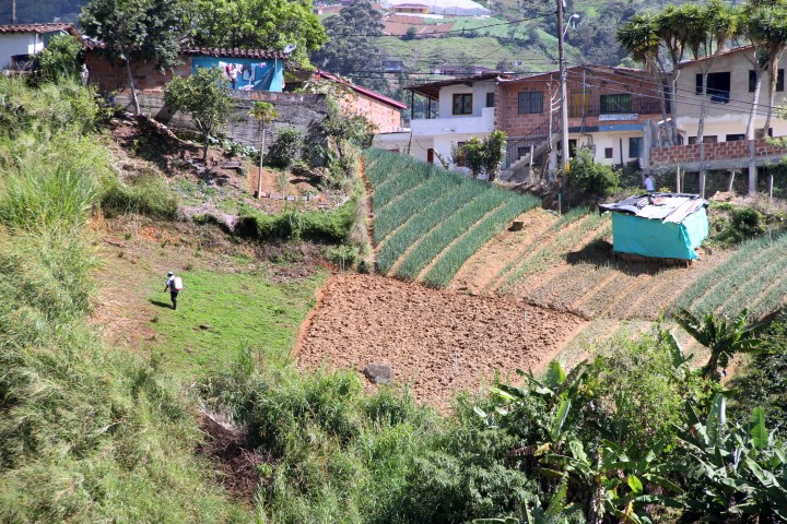 Mientras sus compañeros protestan, él trabaja sus 500m2