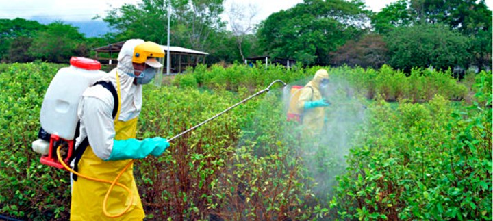 Aspersión con bomba de espalda1