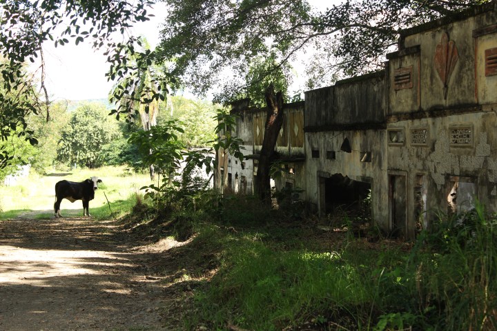 lahares e la memoria 4