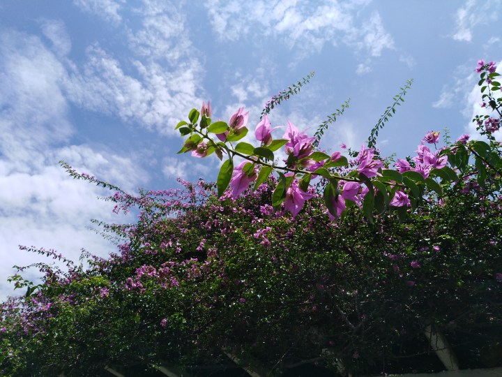 curazao iglesia espiritu santo en prado centro .jpg