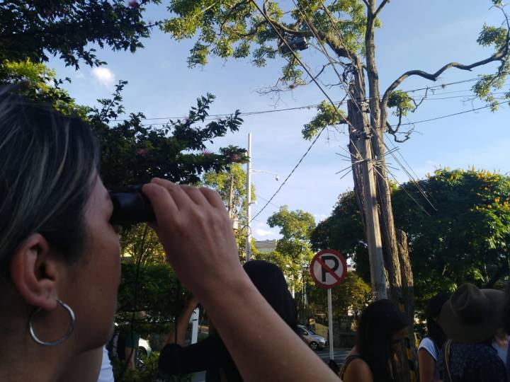 observando el guayacan.jpg